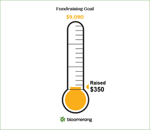 fundraising-goal (3)