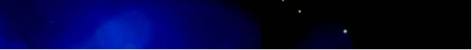 twinkle-banner-2-min twinkle-banner-2-min